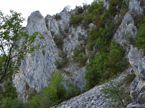 Foto Magura Vanatarei (c) Lucian Petru Goja